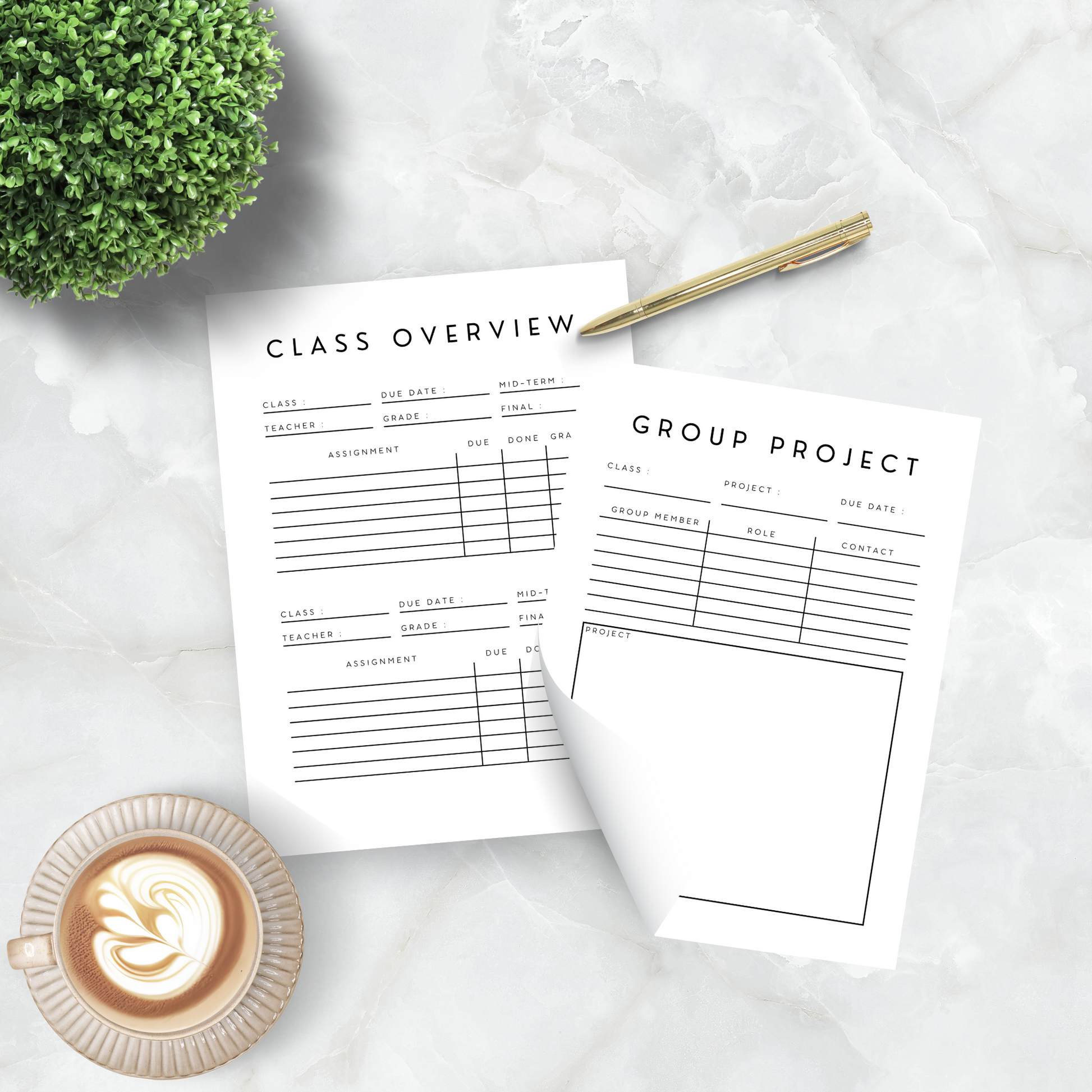 PDF printable study planner and homework / assignment tracker. class overview and group project organizer